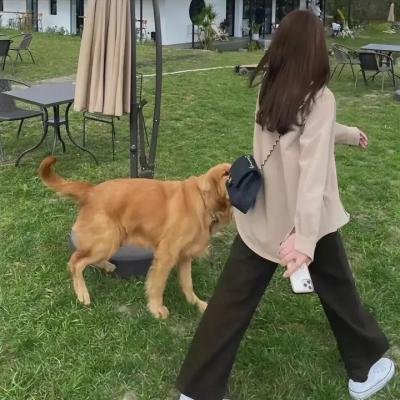 请多多关照